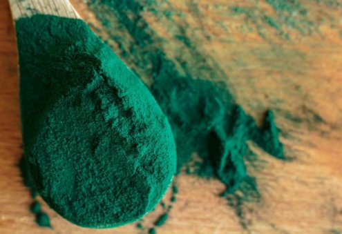 Туркменские компании наладили производство хлореллы