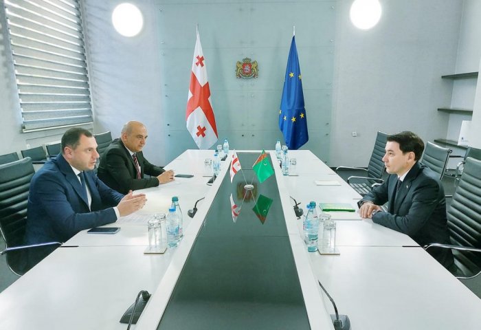 Turkmenistan and Georgia Discuss Preparation of Joint Education Projects