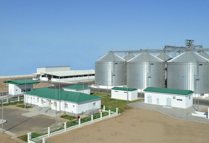 Grain Mill in Western Turkmenistan Produces 12.695 Tons of Flour