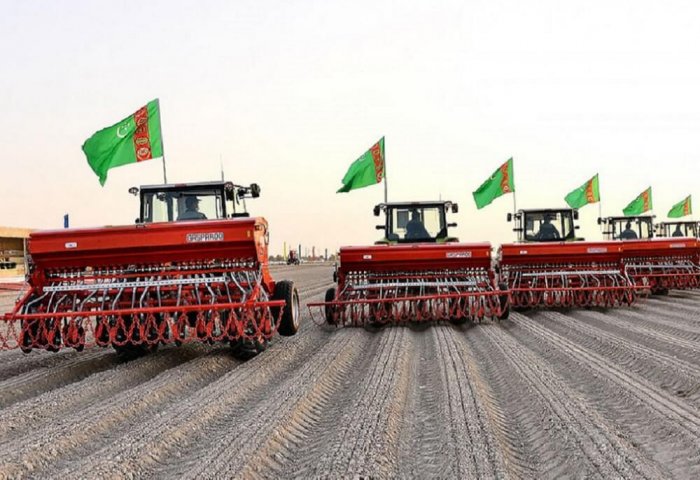 Türkmenistan'da 1,4 milyon ton buğday hasadı hedefleniyor