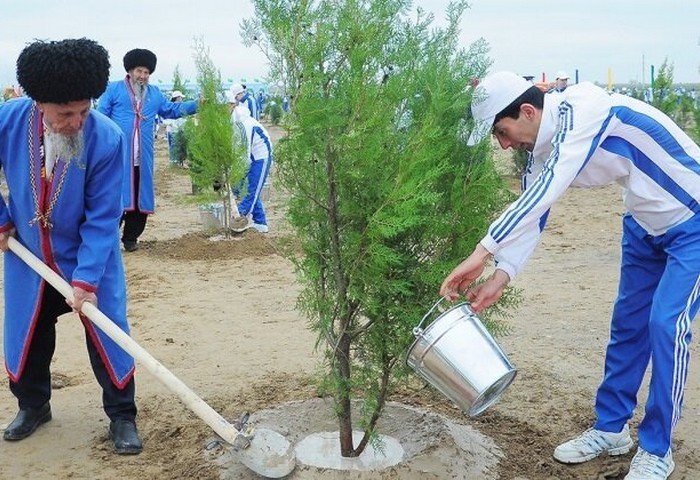Turkmenistan Prepares Updated National Forest Program