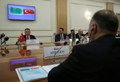 Turkey Proposes to Transport Turkmen Gas to Anatolia Via TANAP