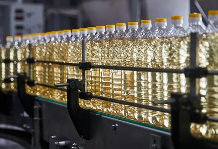 Russia Increases Agricultural Exports to Turkmenistan by 16%