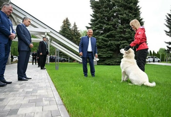 Гурбангулы Бердымухамедову показали выросшего алабая Акдуса в Казани