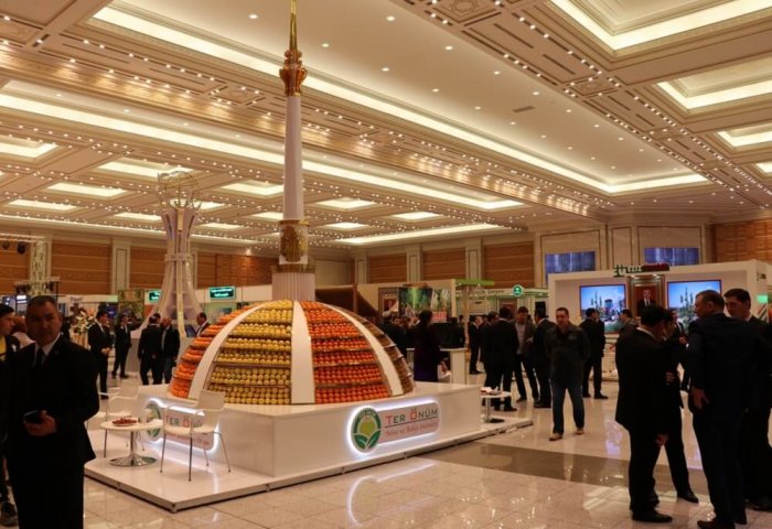 Türkmenistan'da hissedar hakları nelerden ibaret?