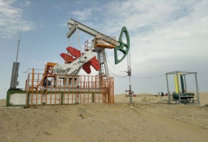 Gumdag Oilmen Extracted 110,700 Tons of Oil