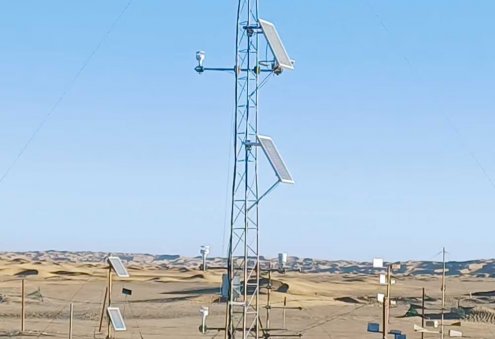 Туркменистан и Китай расширяют сотрудничество в сфере пустыноведения