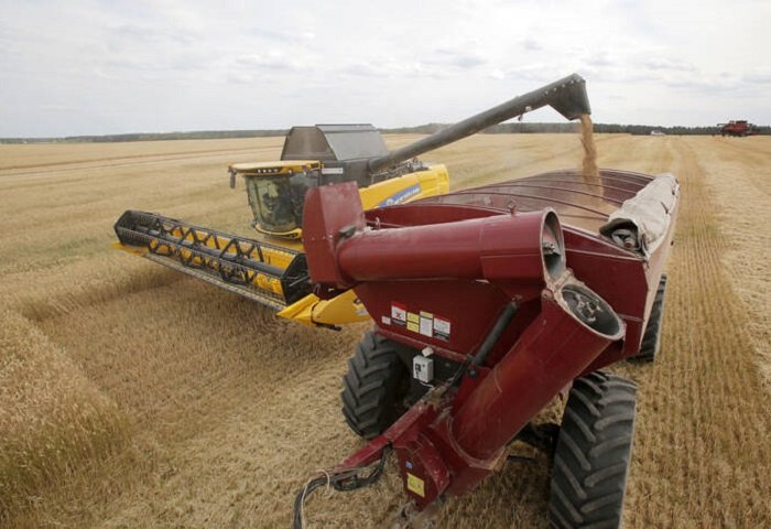 Global Food Prices Rise in August on Harvest Woes