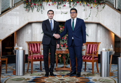 Serdar Berdimuhamedov Discusses Energy Cooperation Prospects With Petronas Leadership