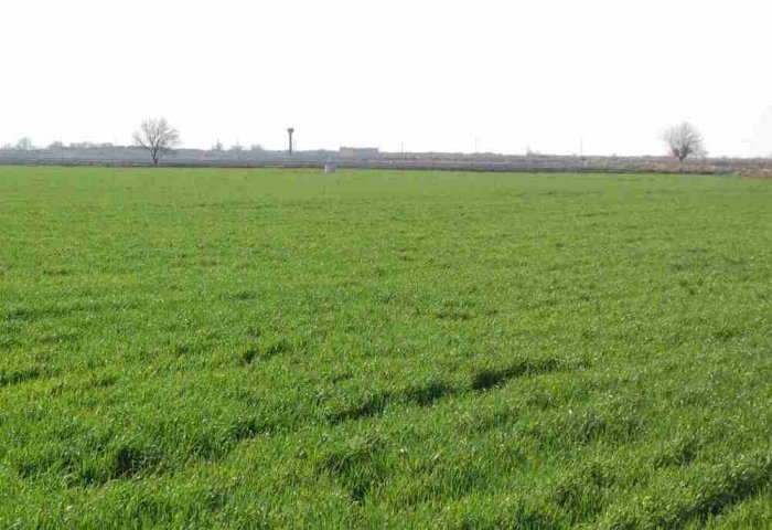 Türkmenistanda şahsy adamlara, guramalara we edaralara ýer bermegiň tertibi nähili? Türkmenistanda şahsy adamlara, guramalara we edaralara ýer bermegiň tertibi nähili?