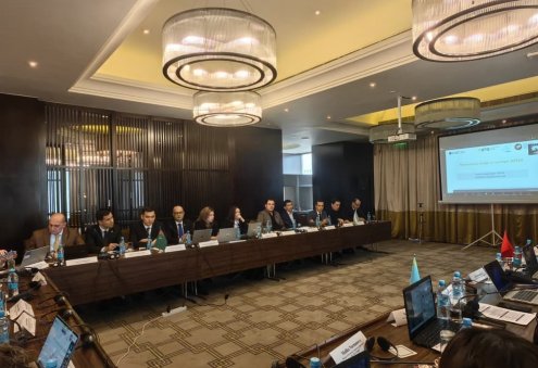 Делегация Туркменистана участвует в климатическом тренинге в Душанбе