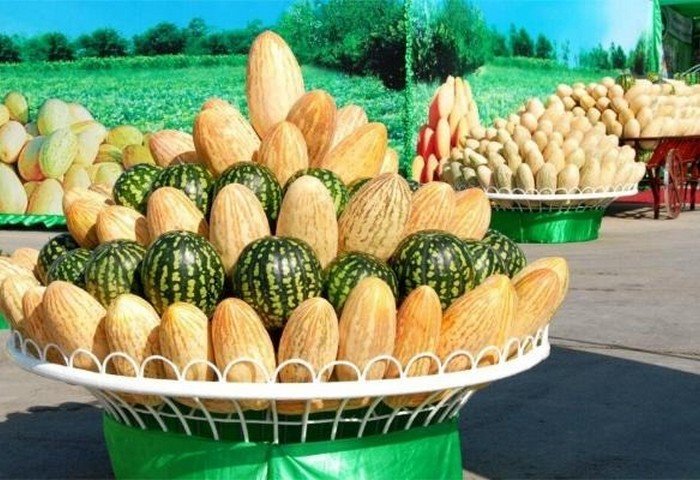 January-July: Turkmenistan Increases Watermelon Exports Ninefold