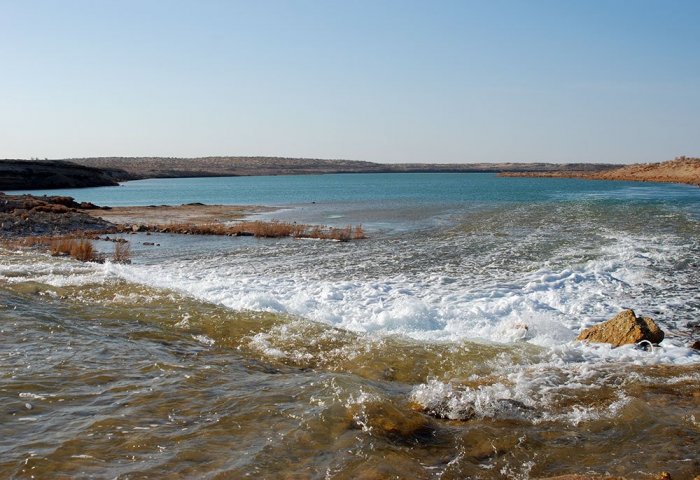 Ученые составили экологические карты системы Туркменского озера