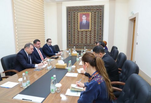 Türkmenistan we Gruziýa sergileri, biznes forumlaryny guramaga gyzyklanma bildirdiler