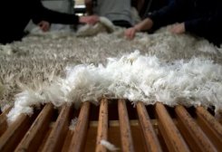 Turkmenistan Ships 707.5 Tons of Sheep Wool to Russia’s Ulyanovsk