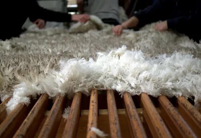 Туркменистан отправил 707,5 тонны овечьей шерсти в Ульяновскую область