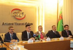 Туркменистан, Турция намерены развивать сотрудничество в сфере малого, среднего бизнеса