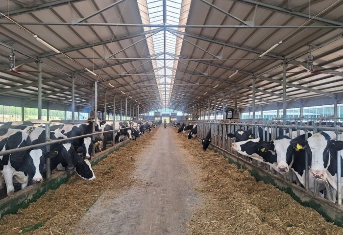 Туркменистан изучает опыт Грузии по внедрению системы идентификации животных