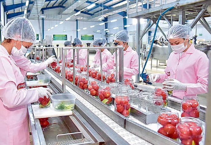 Turkmenistan’s Murghab Production Association Processes Four Tons of Vegetables Daily