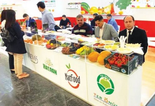 Türkmen telekeçisi: Türkmenistandaky ýyladyşhanalaryň 95%-i pomidor önümçiligine ýöriteleşendir