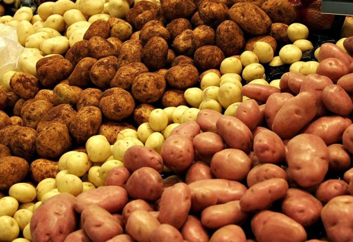 Turkmenistan to Purchase 14,000 Winter Potato Seeds From Russian Company