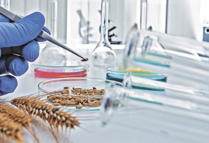 Research Institutes Joint Laboratory to Be Constructed in Turkmenistan