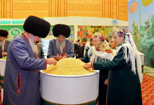 Dashoguz Farmers Near Completion of Grain Legume Harvest