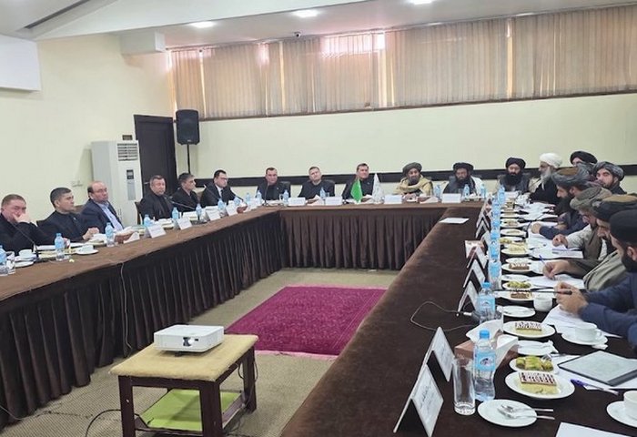 High-Level Turkmen, Afghan Delegations Discuss Energy Projects in Herat