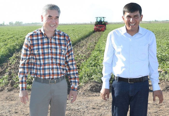 Turkmen President Gets Acquainted With Activities of Private Agricultural Producer
