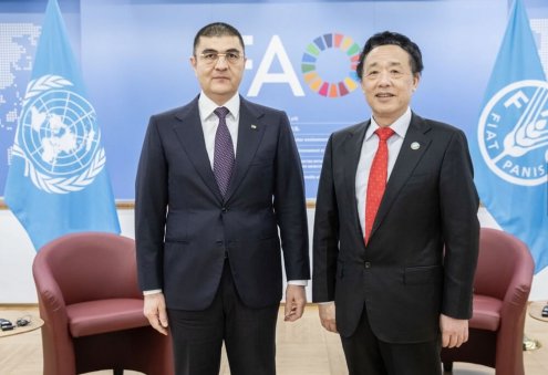 FAO, Türkmenistan’da ofis açmayı planlıyor