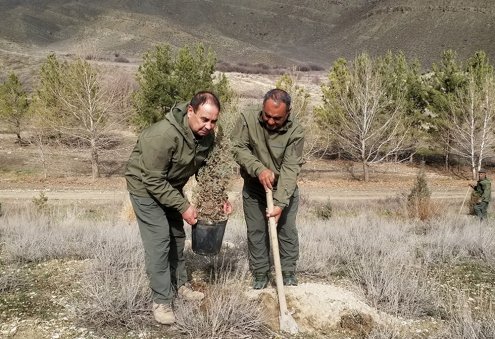 Türkmenistanyň ekologlary arça, pisse we badam nahallaryny ekdiler