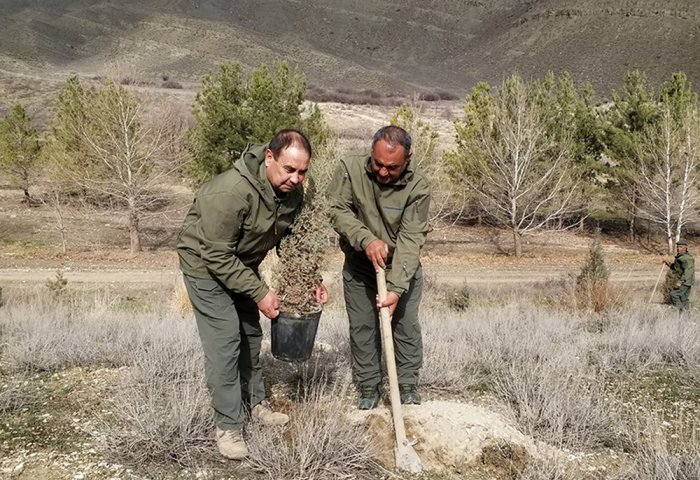 Türkmenistanyň ekologlary arça, pisse we badam nahallaryny ekdiler