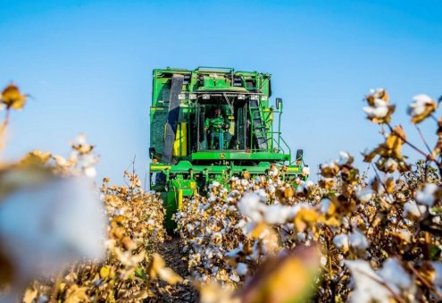 FAO Assists Turkmenistan to Improve Its Cotton Production