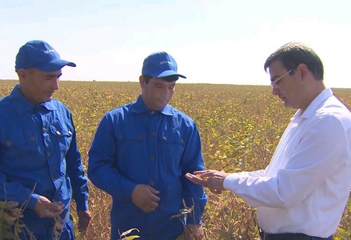 Gündogar akymy собрал обильный урожай сои на полях Ахалского велаята