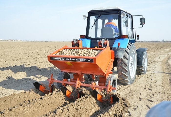 Turkmenistan Expected to Allocate Additional 40,000 Hectares for Growing Vegetables