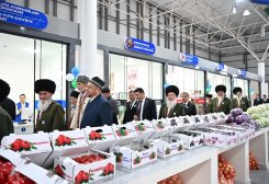 Turkmen Investment Backs 200 Companies in Uzbekistan