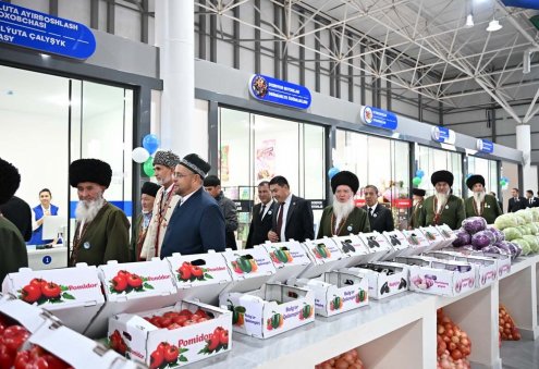 Özbegistanda 200 sany türkmen kompaniýasy hereket edýär