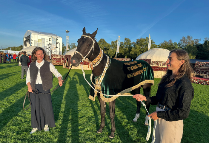 World Championship for Akhal-Teke Horses Concludes in the Netherlands World Championship for Akhal-Teke Horses Concludes in the Netherlands