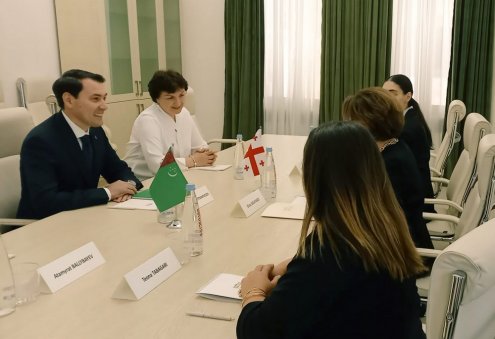 Turkmenistan, Georgia Discuss Cultural Cooperation in Tbilisi