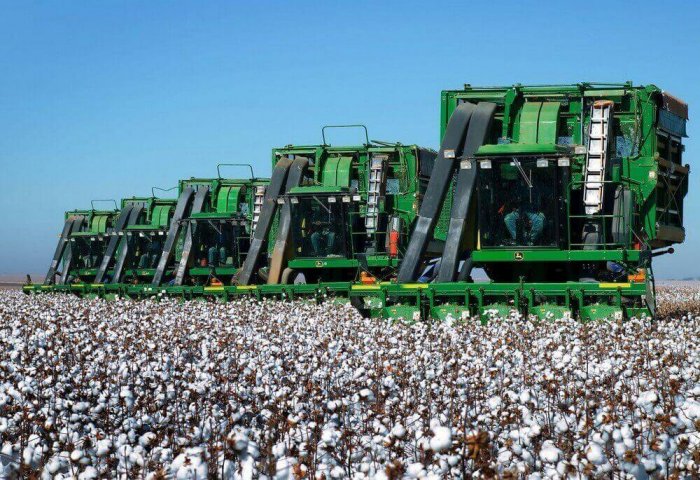 Cotton: Basis For Growth in Textile Industry