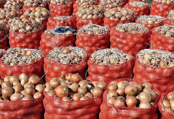 Türkmenistanlı girişimci, Kazakistan'a 140 tondan fazla soğan ihraç etti