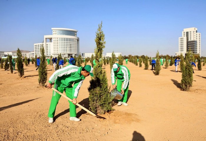 President of Turkmenistan Leads Nationwide Tree Planting Campaign