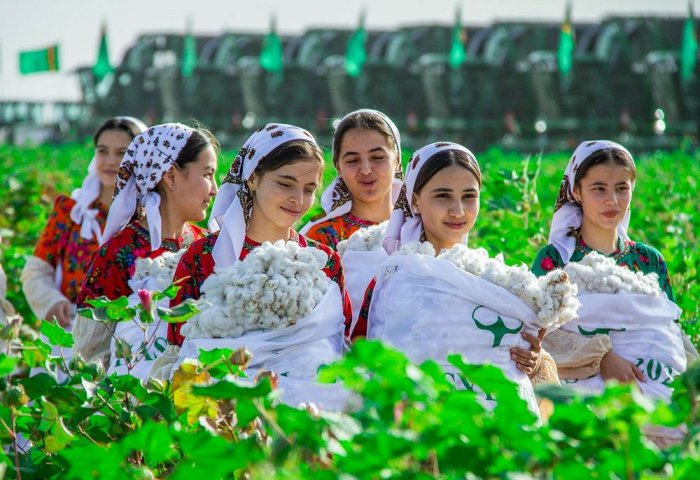 Сбор хлопка в Туркменистане начнется 11 сентября