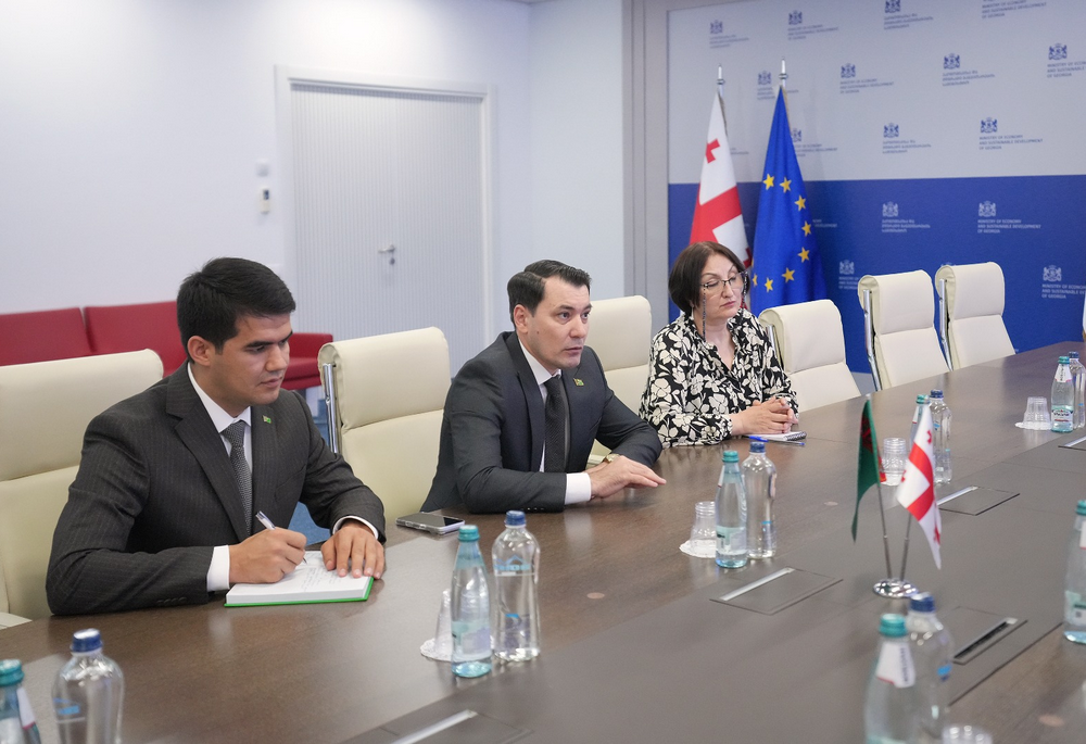Döwletmyrat Seýitmämmedowyň Tea Ioseliani bilen duşuşygy, 2026-njy ýylyň 9-njy iýuny (Surat: Türkmenistanyň Gruziýadaky ilçihanasy)