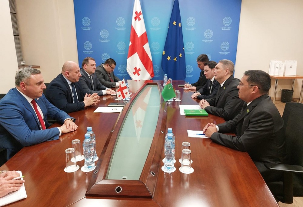Meeting of the Mejlis of Turkmenistan with Speaker of the Parliament of Georgia Shalva Papuashvili, April 23, 2025, Tbilisi, Georgia (Photo: Embassy of Turkmenistan in Georgia)