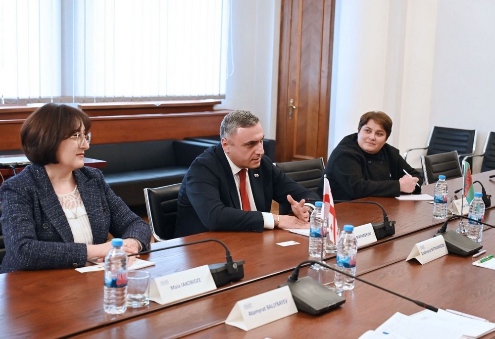 Встреча Довлетмырата Сейитмаммедова с Давидом Матикашвили, 23 января, 2026 г., Тбилиси, Грузия (Фото: Посольство Туркменистана в Грузии)